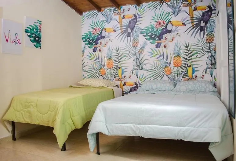 Guest house Hostal Pura Vida La 70 Medellin Colombia